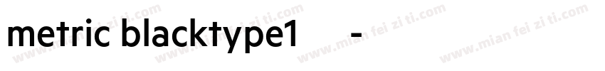 metric blacktype1西方字体转换